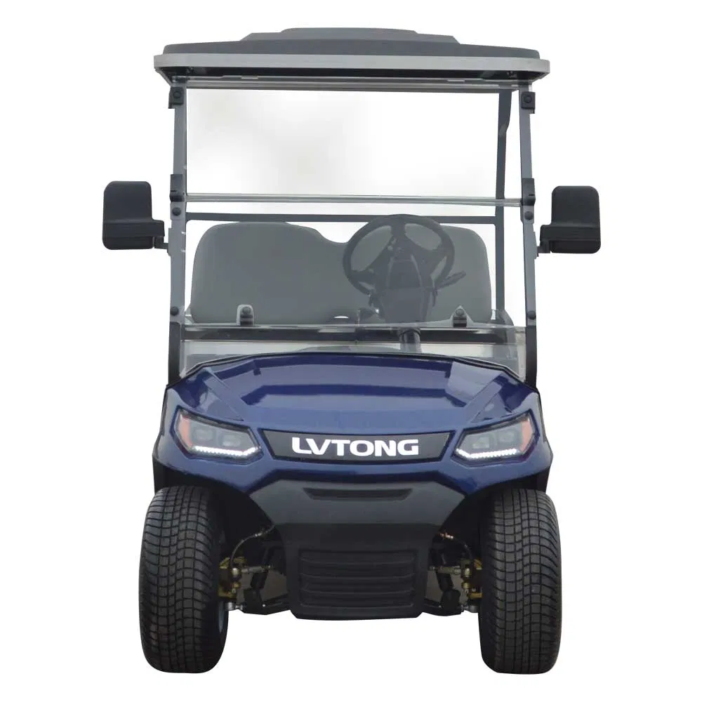 Lvtong Mini Cart 2 Passengers Electric Golf Buggy