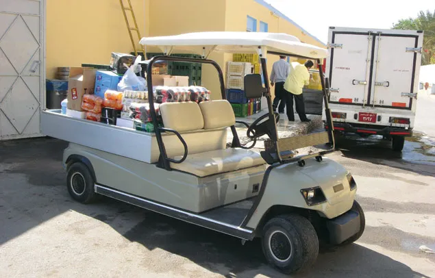 Material PP 2 Seaters Electric Golf Cargo Car