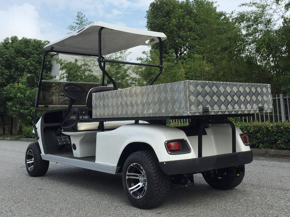 New 2 Seats Golf Cart with Bucket for Resort