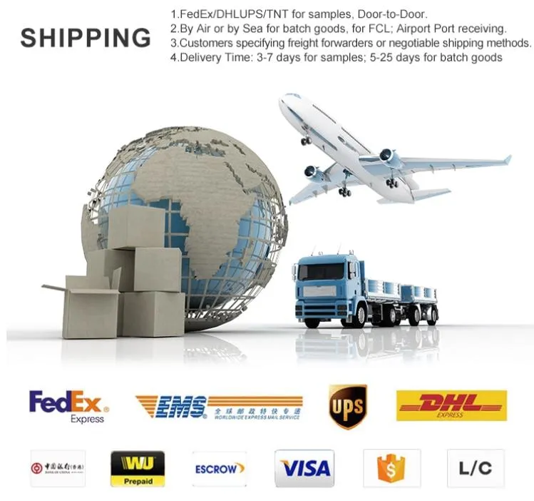 New Design Four-Wheel Blank Skateboard for Adult Skate Board Decks