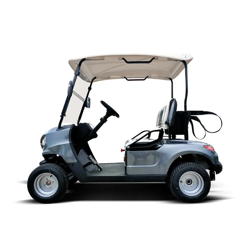 New Haike Buggy/Golf Carts Electric Golf Cart Hkev-G2