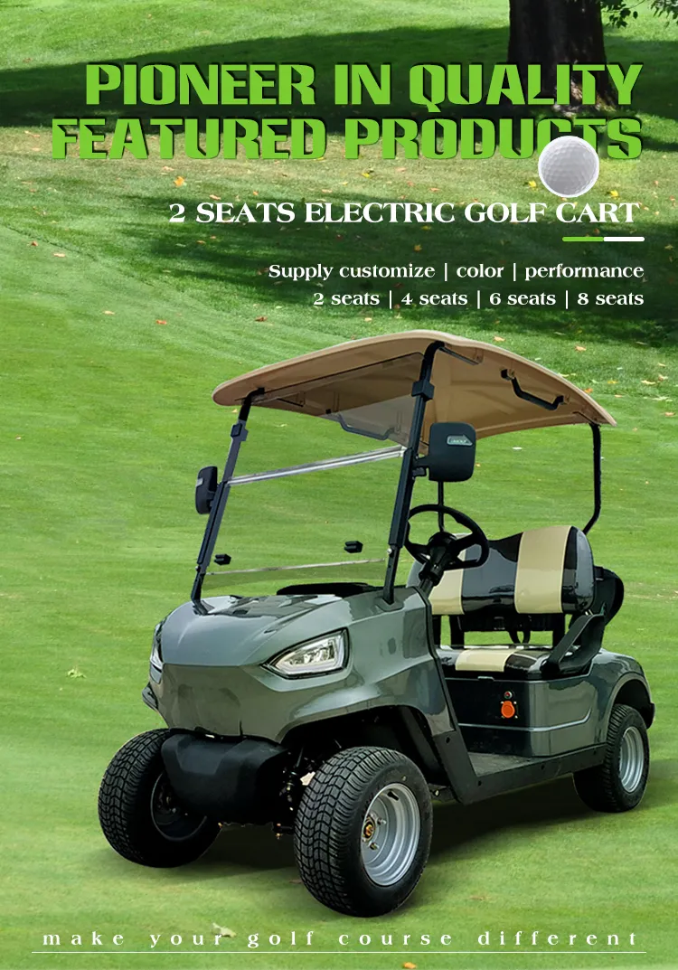 New Haike Buggy/Golf Carts Electric Golf Cart Hkev-G2