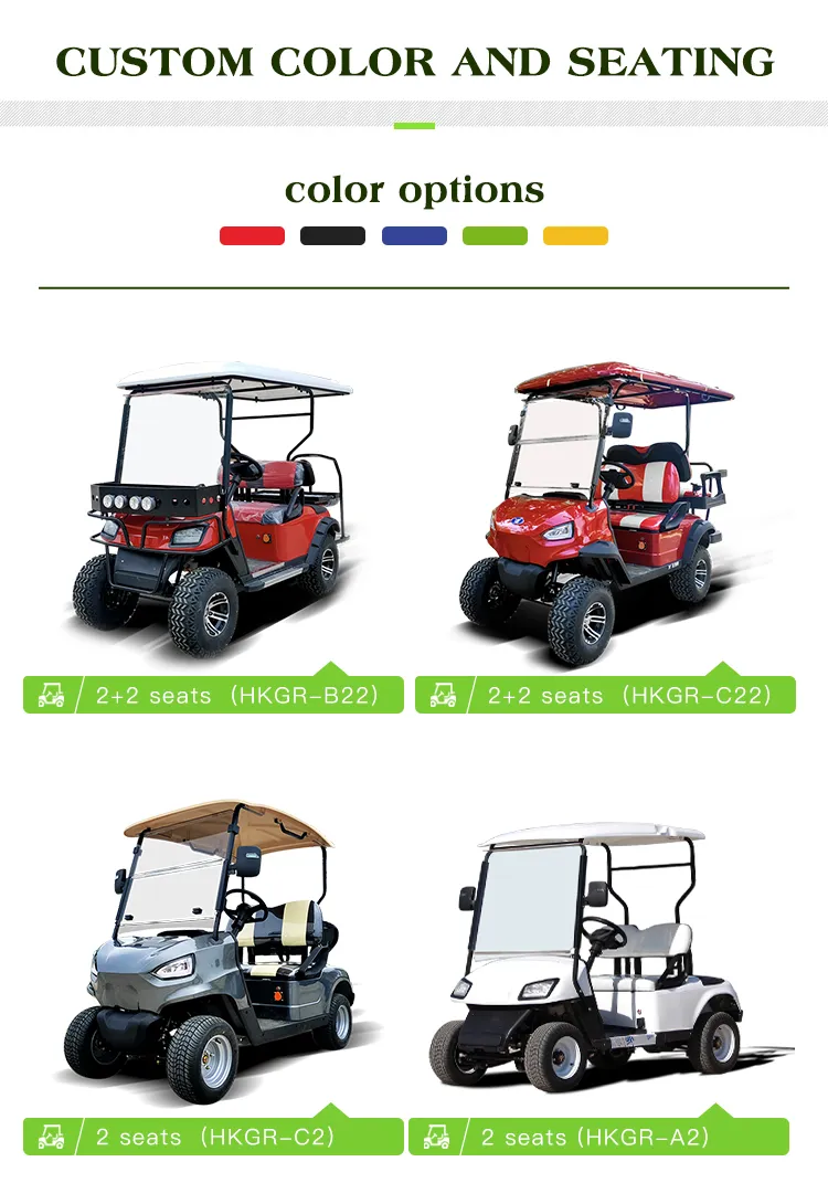 New Haike Buggy/Golf Carts Electric Golf Cart Hkev-G2