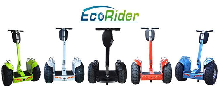 New Prodcuts 2016 Lithium Battery off Road Electric Chariot Two Wheels Self Balancing Electric Golf Scooter