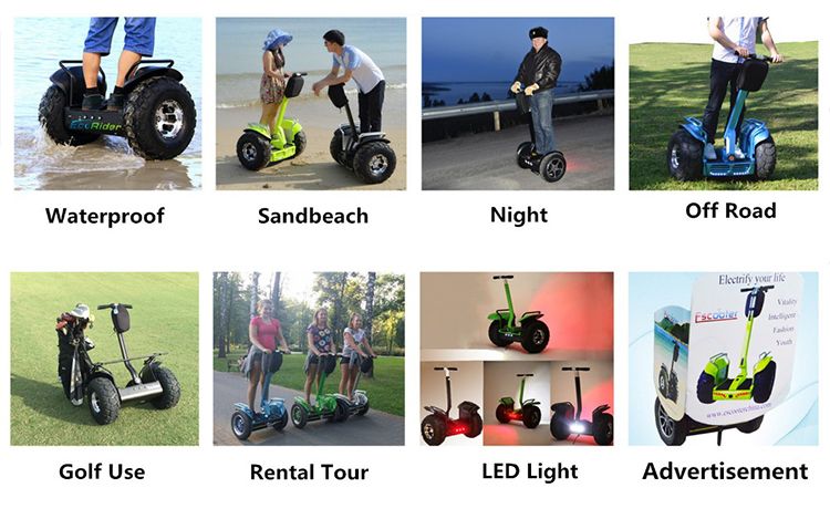New Prodcuts 2016 Lithium Battery off Road Electric Chariot Two Wheels Self Balancing Electric Golf Scooter