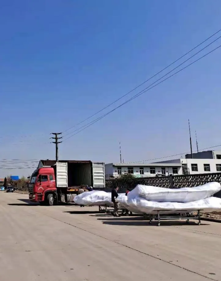 Speed Boat Rafting Boat Inflatable Raft for Professional Sports