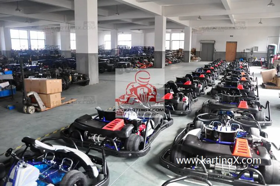 Street Legal 90cc 110cc 125cc 200cc 270cc Cheap Racing Go Kart for Sale