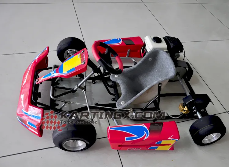 Street Legal 90cc 110cc 125cc 200cc 270cc Cheap Racing Go Kart for Sale
