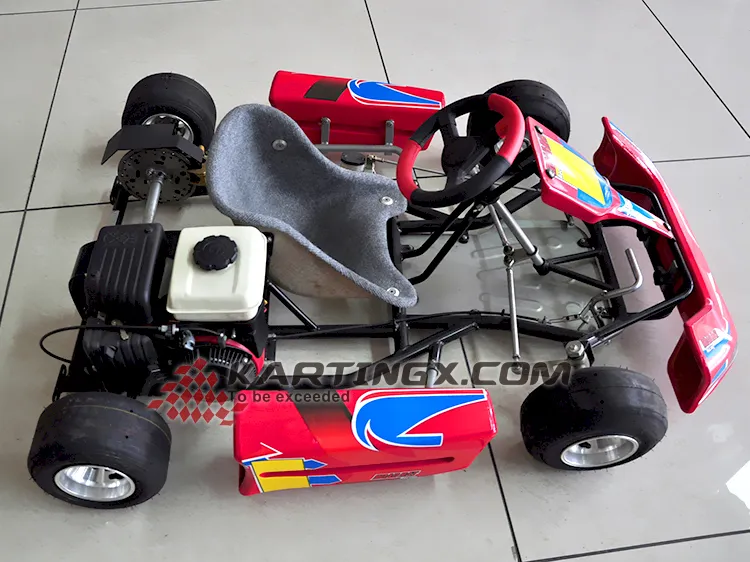 Street Legal 90cc 110cc 125cc 200cc 270cc Cheap Racing Go Kart for Sale