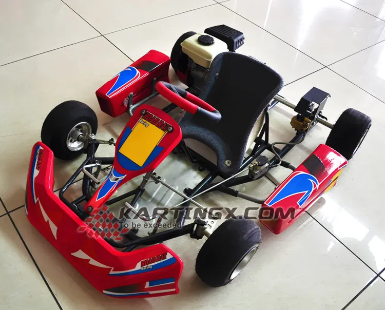 Street Legal 90cc 110cc 125cc 200cc 270cc Cheap Racing Go Kart for Sale