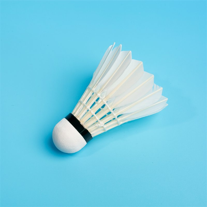 Super Quality Goose Feather Aeroplane Eg1130 Badminton Shuttlecock