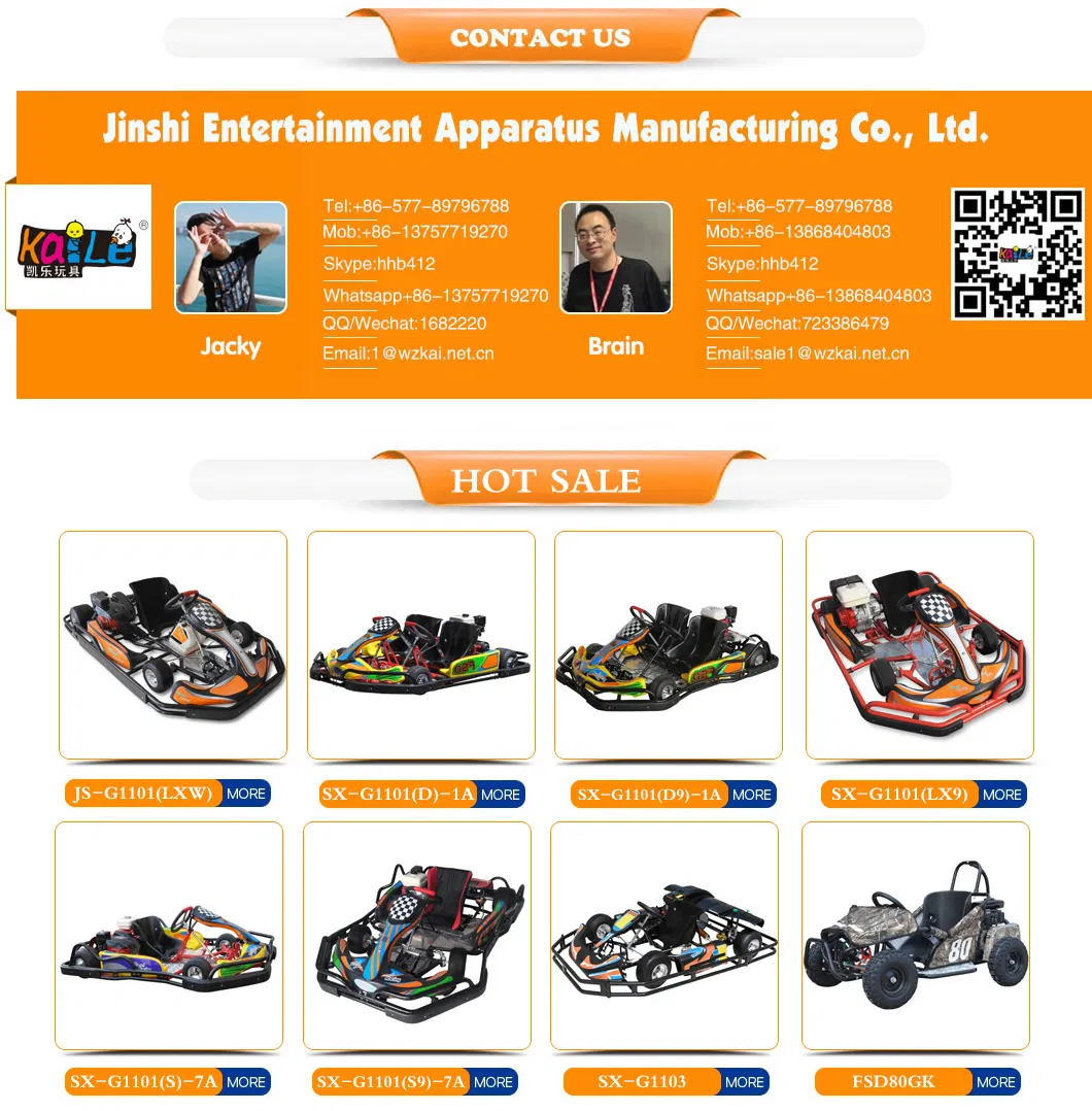 Suppliers Adult Pedal Racing Go Kart Gasoline Honda Engine 200cc/270cc Ce Approved