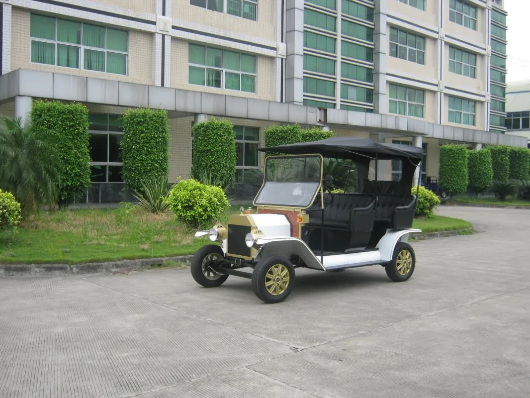 Unique Design Popular AC Motor 5kw Golf Classic Electric Buggy Vehicle