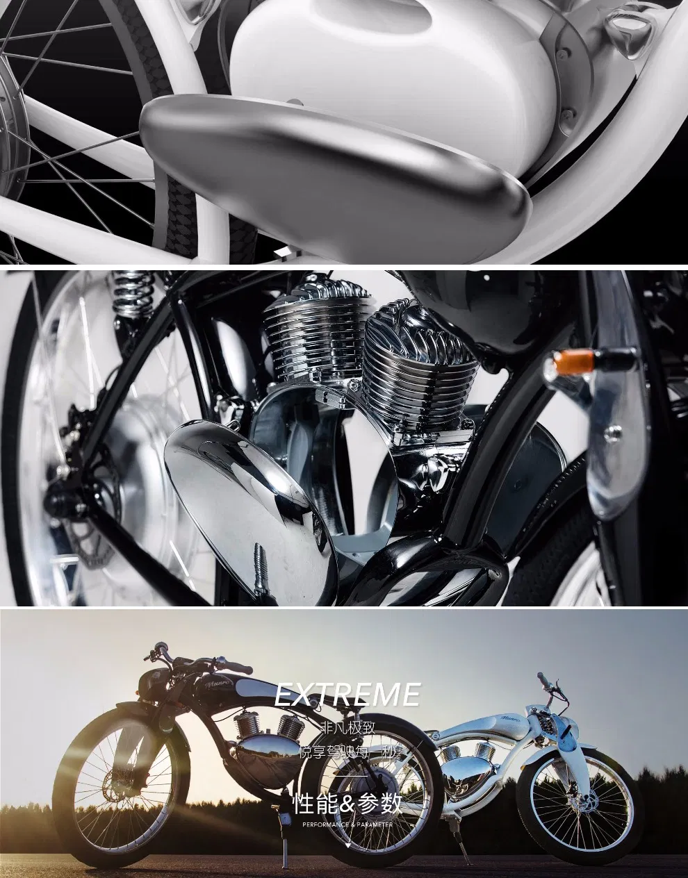 Vintage Retro Electric Bike 48V Monopattin Elettr Elektrikli Bisiklet Ebike