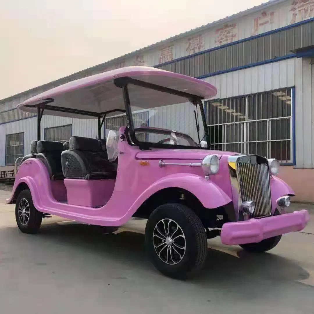 White 9-11 Hike VIP Container Electric Golf Cart Classic Car