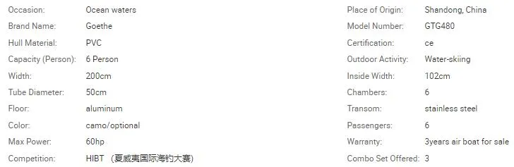 White Water Rafts Passenger Speed Boat Rescue Sled Air Catamaran Inflatable PVC Hull Fishing Gtg480 with Outboard Engine