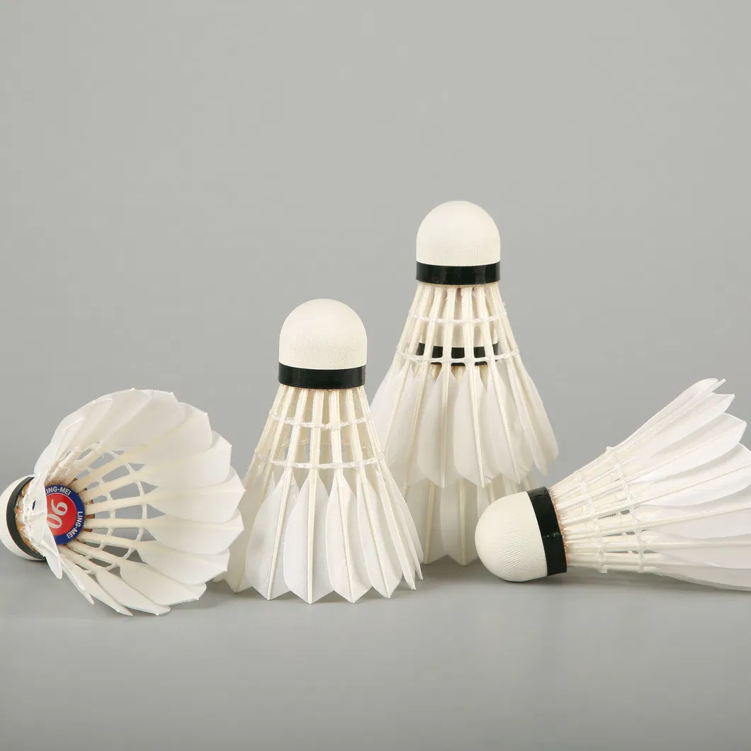 Wholesale Durable and Stable Badminton Shuttlecock Aeroplane Black Eg1130 Quality