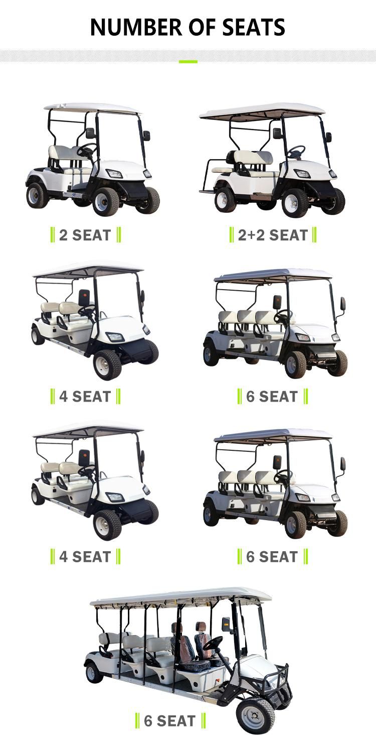 Wholesale Hot Sale Best Price Electric Golf Cart 2 Seaters Buddy High Power