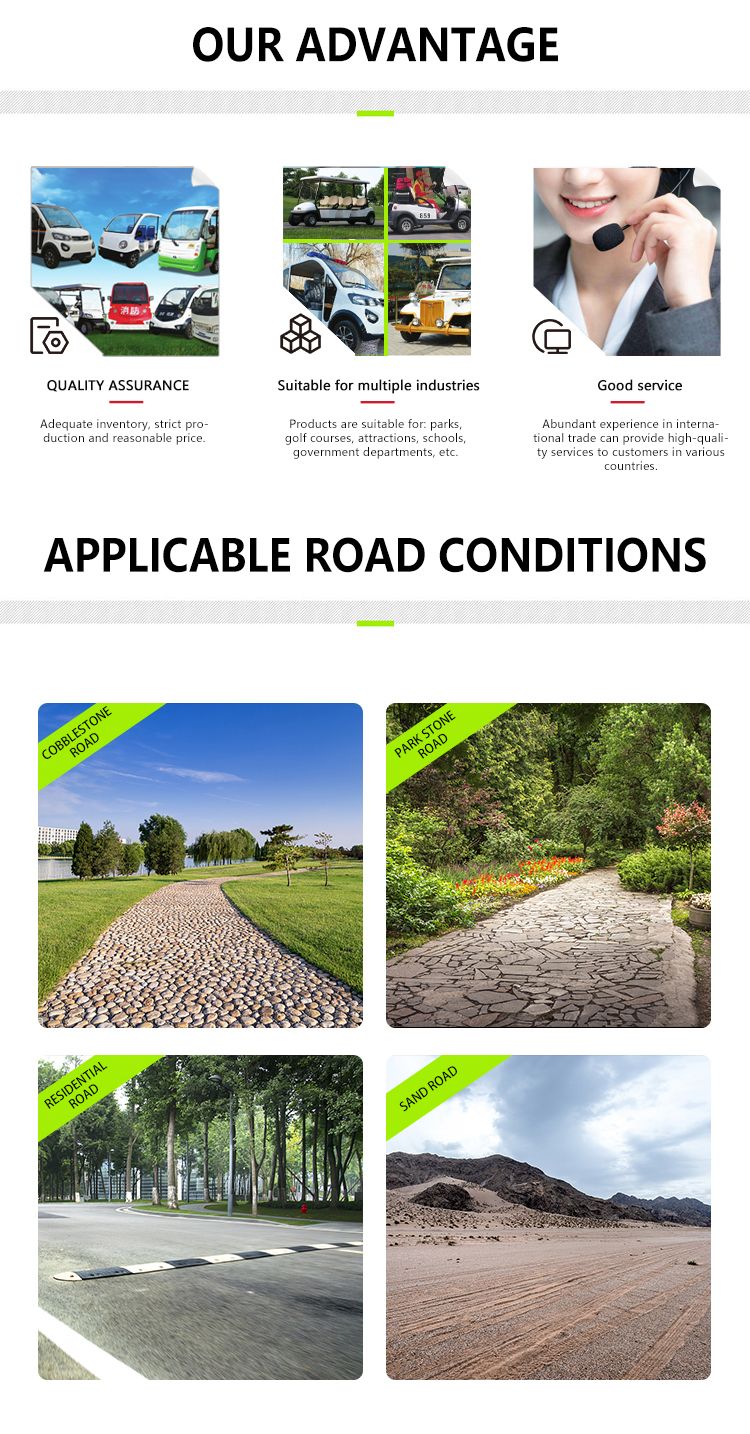 Wholesale Hot Sale Best Price Electric Golf Cart 2 Seaters Buddy High Power