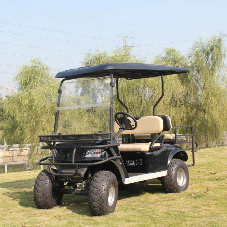 Wholesale Lithium Battery Operated 4 Seater Buggy Utility Vehicle (DH-C2+2)